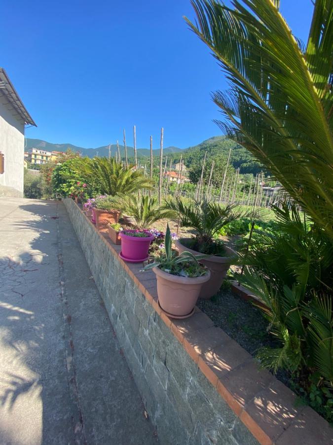 Villa Casa Riatiello, Amalfi Coast, Sorrento Coast, Pompei e Positano Pimonte Esterno foto