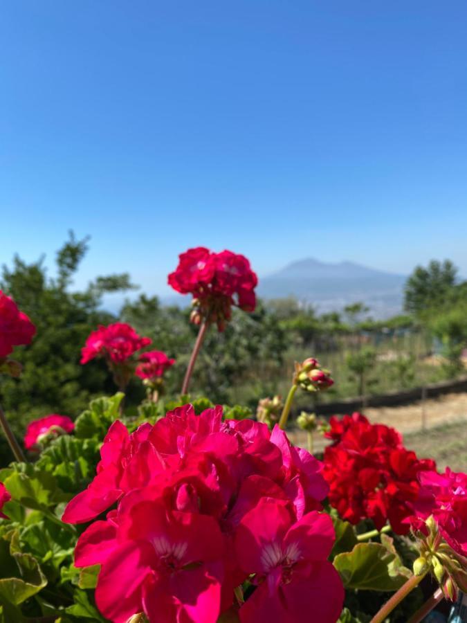 Villa Casa Riatiello, Amalfi Coast, Sorrento Coast, Pompei e Positano Pimonte Esterno foto