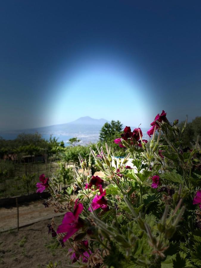 Villa Casa Riatiello, Amalfi Coast, Sorrento Coast, Pompei e Positano Pimonte Esterno foto